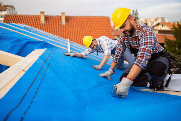 Best Gutter Installation and Roofing  in White Hall, WV