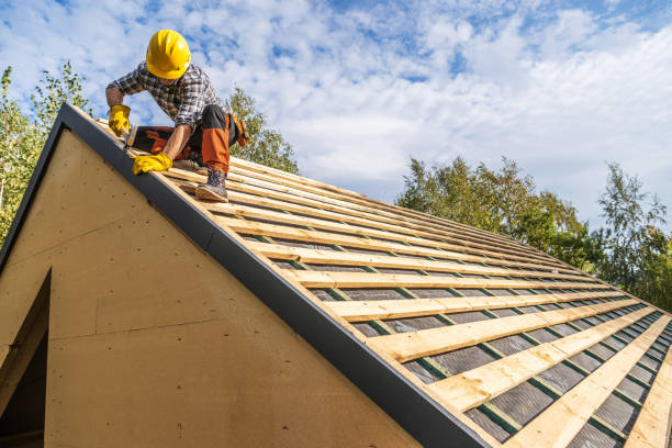 Best Roof Gutter Cleaning  in White Hall, WV